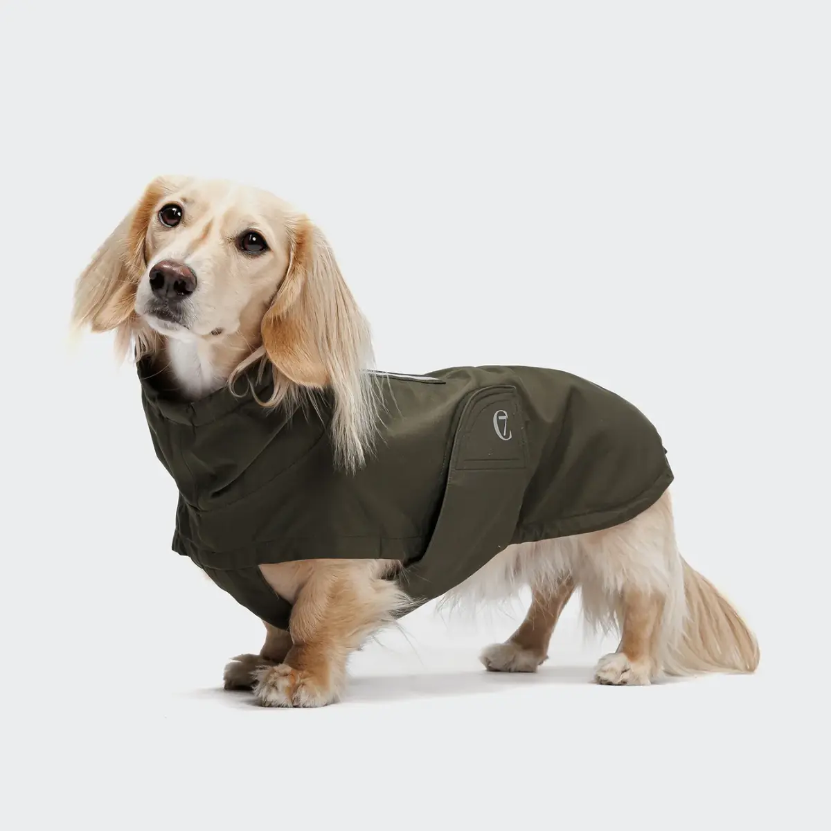 Cloud7 Dublin Gravhund Vand Vindtæt Regnjakke Dark Olive - Cloud7 Regntøj